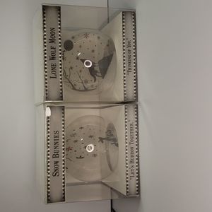 Set of 2- Snow Bunnies Snow Ornaments